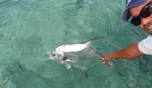 Fly Fishing for Permit in Belize - Whipray Caye Lodge