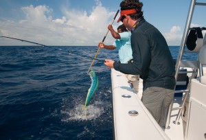 Fly fishing on South Andros Island - The Bahamas