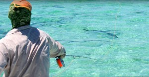 Bahia Honda sporting Club, fly fishing for tarpon in the florida keys