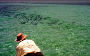 Flyfishing for tarpon in Florida Keys