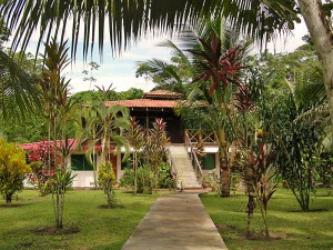 Jungle Tarpon Lodge, Fly fishing costa rica for tarpon