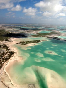 Christmas Island Fly fishing for bonefish, giant trevally