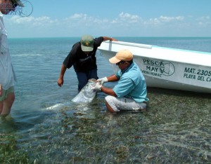 Pesca Maya, a fly fishing lodge in Ascension Bay