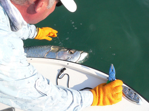 Fly fishing for tarpon in Florida Keys