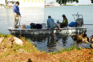 Flyfishing for tarpon in Florida Keys