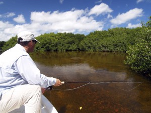 Fly fishing in Mexico for tarpon at Isla del Sabalo here come some tarpon