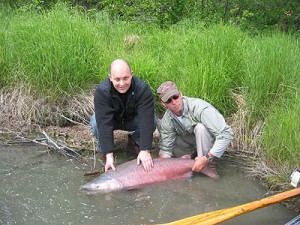 Fly fishing Alaska's Great Alaska Lodge for King Salmon, rainbow trout, bear viewing on the Kenia river and beyond.