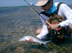 Los Roques Fly fishing for bonefish in Venezuela.