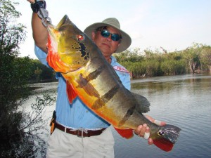 Fly Fishing the amazon ith River plate Outfitters for the best peacock bass fishing in the world.