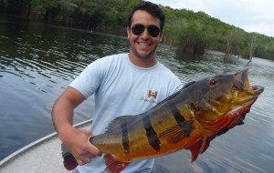 Fly Fishing the amazon with River plate Outfitters for the best peacock bass fishing in the world.