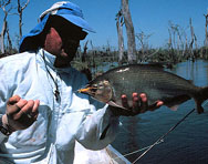 Fly Fishing the amazon with River plate Outfitters for the best peacock bass fishing in the world.