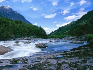 Deep in the heart of Chile's Patagonia region are hundredss of miles af spring creeks filled with big trout all within easy reach of Cinco Rios Lodge.