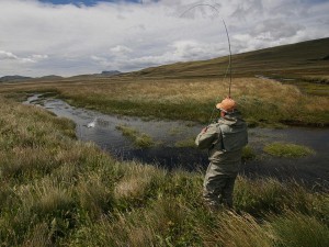 Deep in the heart of Chile's Patagonia region are hundredss of miles af spring creeks filled with big trout all within easy reach of Cinco Rios Lodge.