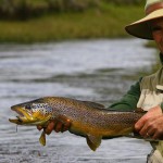 Deep in the heart of Chile's Patagonia region are hundredss of miles af spring creeks filled with big trout all within easy reach of Cinco Rios Lodge.