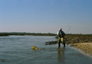 Fly Fishing in Argentina for Dorado at Humbare Lodge