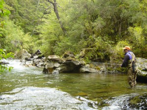 Fly Fishing Chile at Futa Lodge deep in the patagonia region, where wild trout eat dry flies with abandon