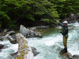 Fly Fishing Chile at Futa Lodge deep in the patagonia region, where wild trout eat dry flies with abandon