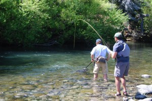 Fly Fishing Chile at Futa Lodge deep in the patagonia region, where wild trout eat dry flies with abandon