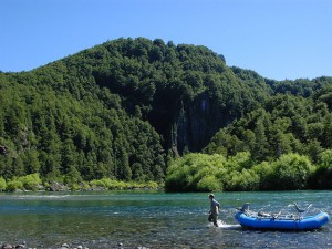 Fly Fishing Chile at Futa Lodge deep in the patagonia region, where wild trout eat dry flies with abandon