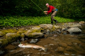 Kamchatka dry fly fishing for huge rainbows