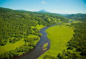 Kamchatka dry fly fishing for huge rainbows