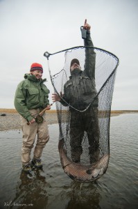 Fly fishing for sea run brown trout at the Kau Tapen lodge in Tierra del Fuego Argentina 