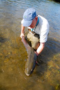 Fly fishing in Mongolia for giant taimen, amur trout and lenok with Mongolia River Outfitters and flyfishingheaven.com