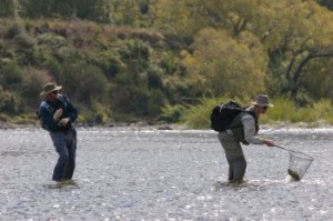 Fly fishing New Zealand's South Island, sight fishing for browns in crystal clear New Zealand rivers with flyfishingheaven.com