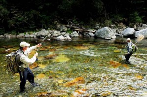 Fly fishing New Zealand's South Island, sight fishing for browns in crystal clear New Zealand rivers with flyfishingheaven.com