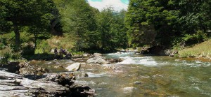 Paloma River Lodge - Fly FIshing for brown trout ifrom this small lodge in Southern Chile