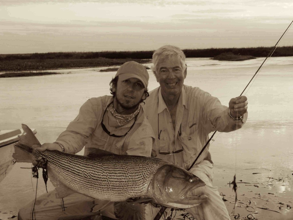 fly fishing for dorado in northern Argenina's Pira Lodge