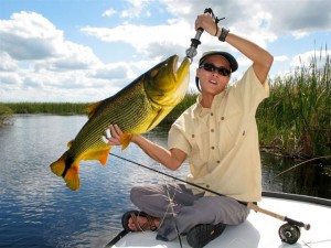 fly fishing for dorado in northern Argenina's Pira Lodge