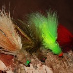 Belize Tarpon Fly -Tarpon Toad Selections the one fly to have when tarpon fishing