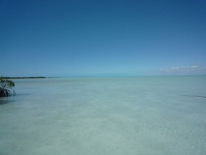 Fly Fishing for bonefish at Mangrove Cay on South Andros, Bahamas