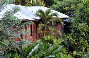 Fly Fishing for permit at Belcampo in southern Belize, fly fishing for permit at it's best!