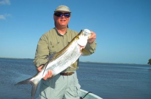 Fly fishing for tarpon at Rio Lagartos in northern Yucatan, Mexico. Fly fishing for baby tarpon at it's best!