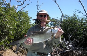 Fly Fishing for tarpon at Rio LAgartos in northern Yucatan, Mexico. Fly fishing for baby tarpon at it's best!