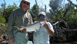 Fly Fishing for tarpon at Rio LAgartos in northern Yucatan, Mexico. Fly fishing for baby tarpon at it's best!
