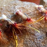 Mantis-Shrimp-Fly for belize permit